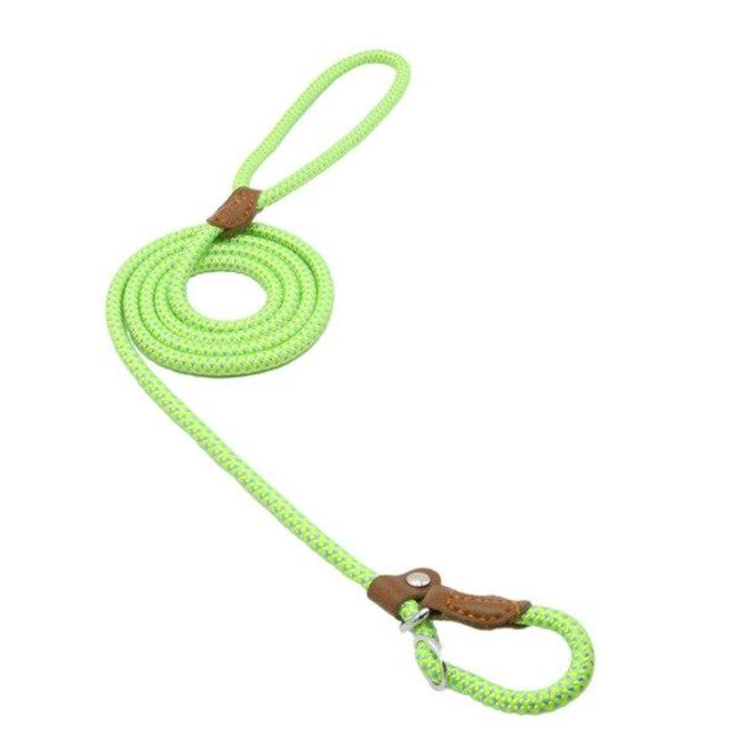 Matching Collar &amp; Lead Set — 7 Colours, 4 Sizes