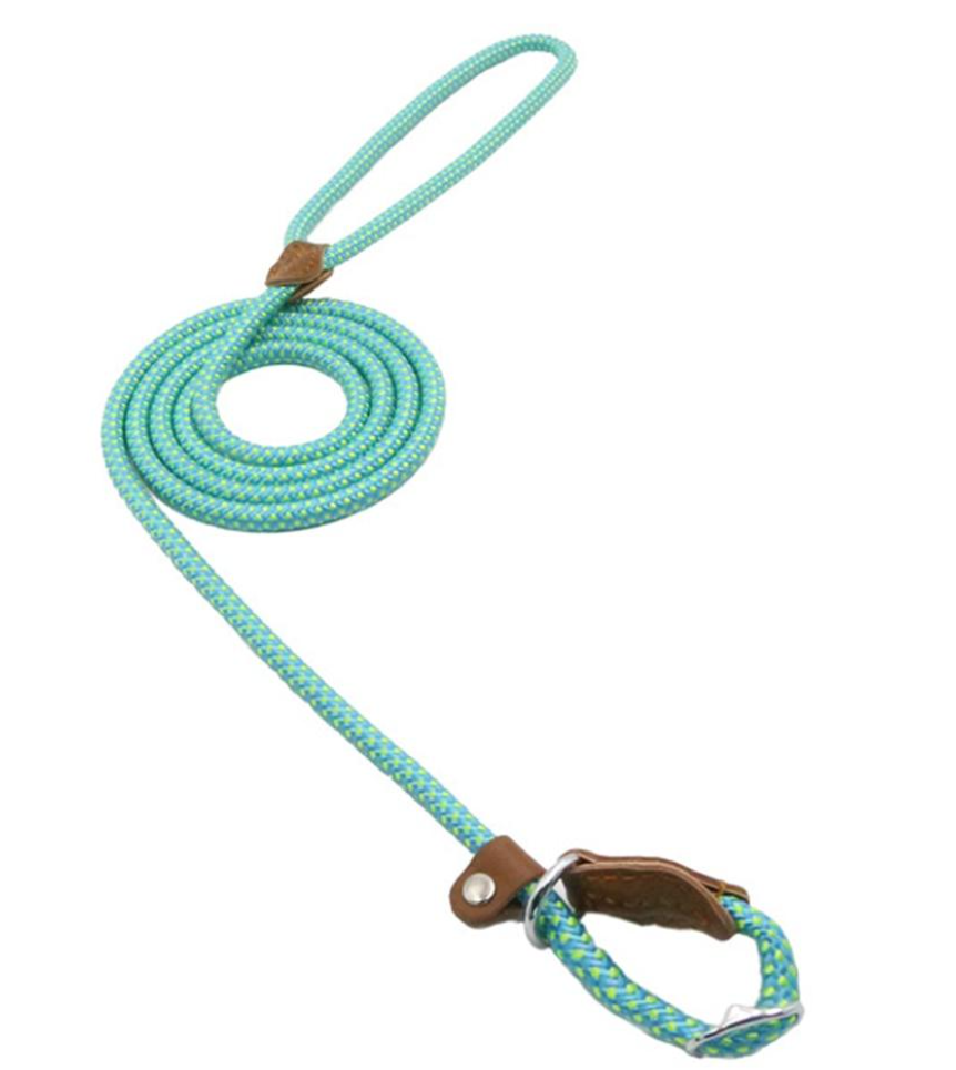 Matching Collar &amp; Lead Set — 7 Colours, 4 Sizes