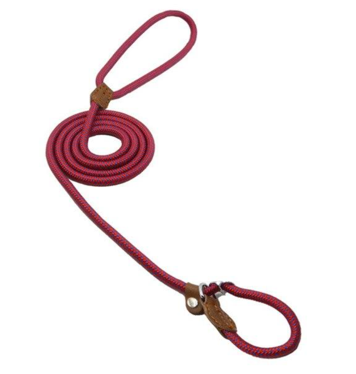 Matching Collar &amp; Lead Set — 7 Colours, 4 Sizes