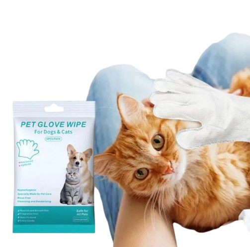 Pet Cleaning Wipes &amp; Gloves — Clean Without a Bath