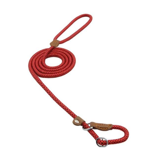 Matching Collar &amp; Lead Set — 7 Colours, 4 Sizes